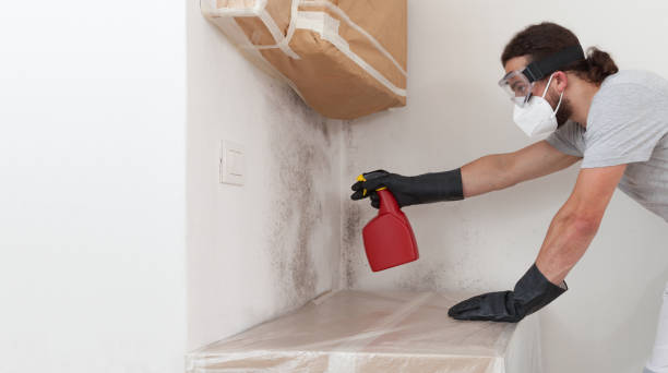 Professional Bathroom Mold Removal technician working in Cedar Grove, FL