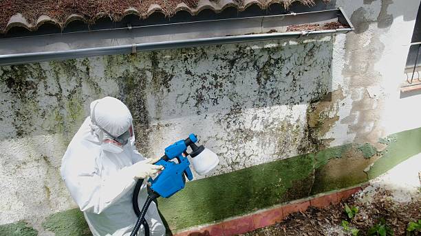 Top rated local Bathroom Mold Removal specialists in Cedar Grove, FL